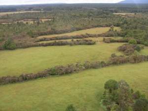 All this you can see is in the hunting area