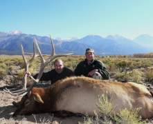 Majors-elk-Co-05
