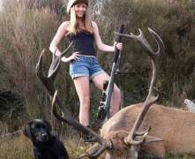 Yvonne-red-stag