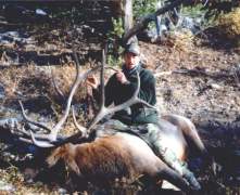 B-ELK