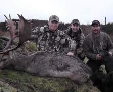 Jimmys-fallow