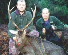 Bjarna-sika