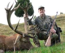 Dales-red-stag