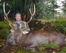 Brians-213-stag