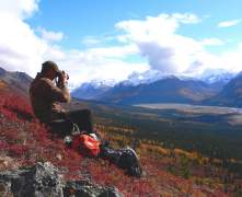 scenery-
