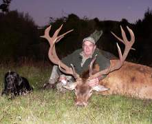 Keiths-red-stag