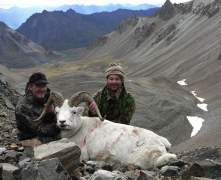 Verns-sheep