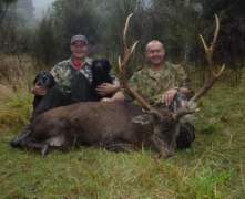 Stevens-sika-600x337