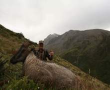 Les-tahr