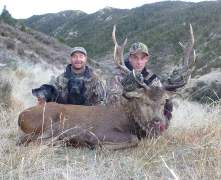 Brads-sika
