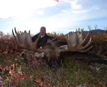 Rogers-62-in-moose
