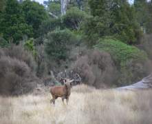 haydens-photos-078