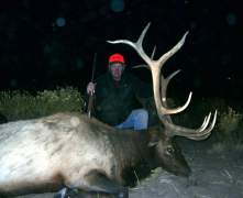 Arts-bull-elk