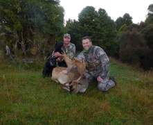 JDs-Fallow