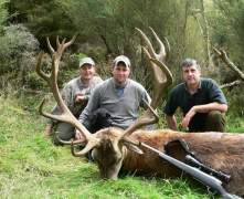 dans-stag-me-bruce1