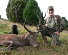 Charles-red-stag