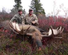 Adams-moose
