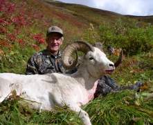Steves-36in-dall-ram